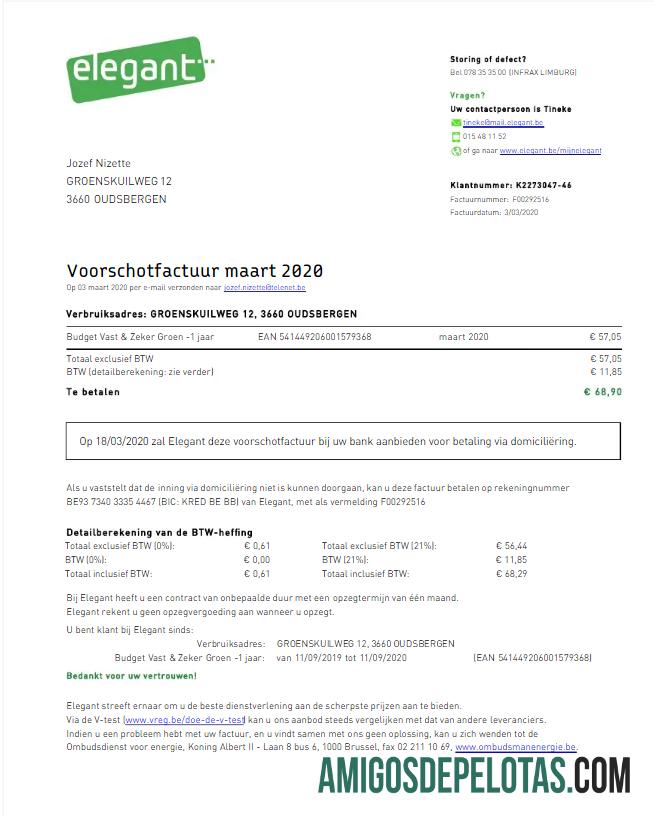 Para baxiar BÉLGICA ELEGANTE Conta de Serviços Públicos Word e Modelo PDF